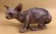 Sphynx Cats for sale in Washington, PA 15301, USA. price: $1,600