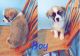 St. Bernard Puppies for sale in Sumner, MI 48889, USA. price: $500
