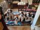 St. Bernard Puppies for sale in Medina, OH 44256, USA. price: NA