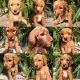 Standard Poodle Puppies for sale in Springfield, MO, USA. price: NA
