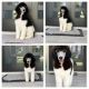 Standard Poodle Puppies for sale in Miami-Dade County, FL, USA. price: NA