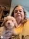 Standard Poodle Puppies for sale in Richmond, KY, USA. price: NA