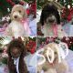 Standard Poodle Puppies for sale in Palm Beach County, FL, USA. price: NA