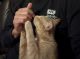 Tabby Cats for sale in Chester, VA, USA. price: $85