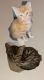 Tabby Cats for sale in Hanoverton, OH 44423, USA. price: NA