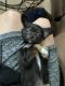 Tea Cup Chihuahua Puppies for sale in Hollywood, FL, USA. price: $1,500