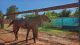 Thoroughbred Horses for sale in Temecula, CA, USA. price: $3,800