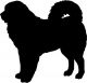 Tibetan Mastiff Puppies for sale in Downey, CA, USA. price: NA