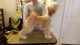 Tibetan Terrier Puppies for sale in Fairfield, CA, USA. price: $2,000