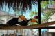 Toucan Birds for sale in Los Angeles, CA, USA. price: $1,200