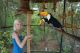 Toucan Birds for sale in New York, NY, USA. price: NA