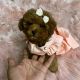 Toy Poodle Puppies for sale in Chicago, IL, USA. price: $750