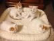 Turkish Van Cats for sale in Indianapolis, IN, USA. price: NA