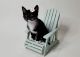 Tuxedo Cats for sale in Newark, CA 94560, USA. price: NA