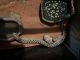 Western Hognose Snake Reptiles