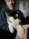Wolfdog Puppies for sale in Blanca, CO 81123, USA. price: $1,000