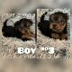 Yorkshire Terrier Puppies for sale in Grand Rapids, MI, USA. price: NA