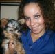 Yorkshire Terrier Puppies for sale in Wichita, KS, USA. price: NA
