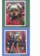Yorkshire Terrier Puppies for sale in Bennington, IN 47043, USA. price: NA