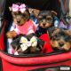 Yorkshire Terrier Puppies for sale in Mesquite, TX, USA. price: $700